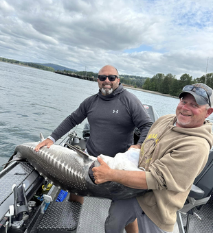 Catching Sturgeons on the Columbia River!